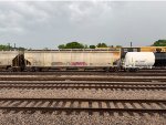 RGCX 15872